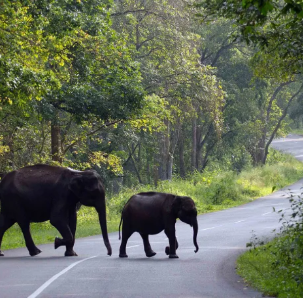 KERALA Tour Packages