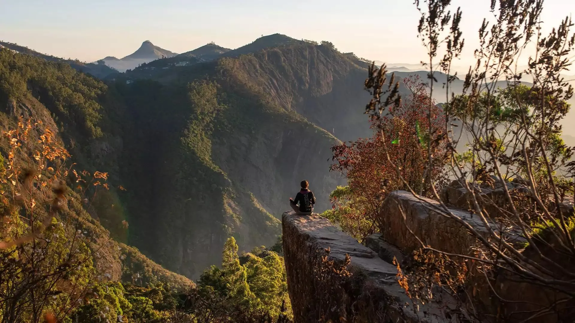 COONOOR