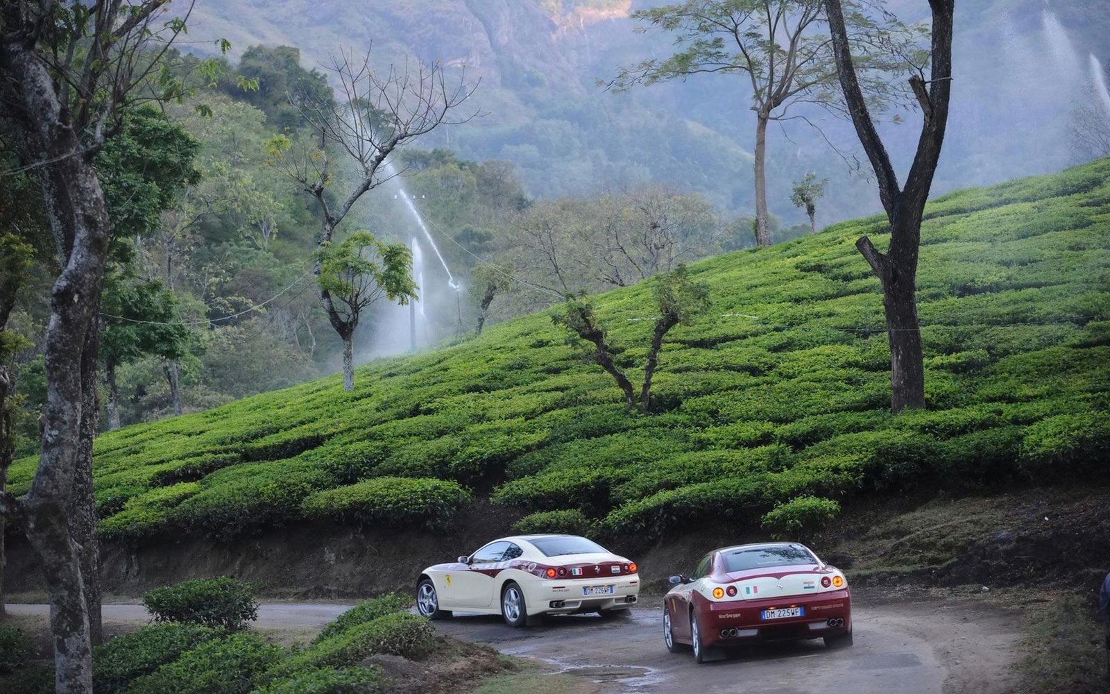 OOTY