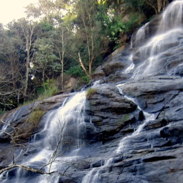 Tamilnadu - Yercaud