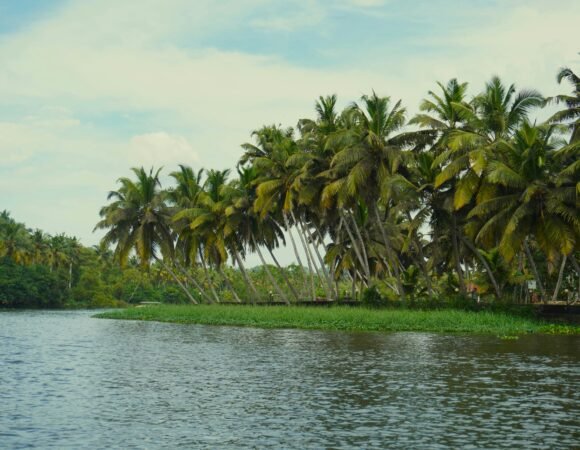 POOVAR